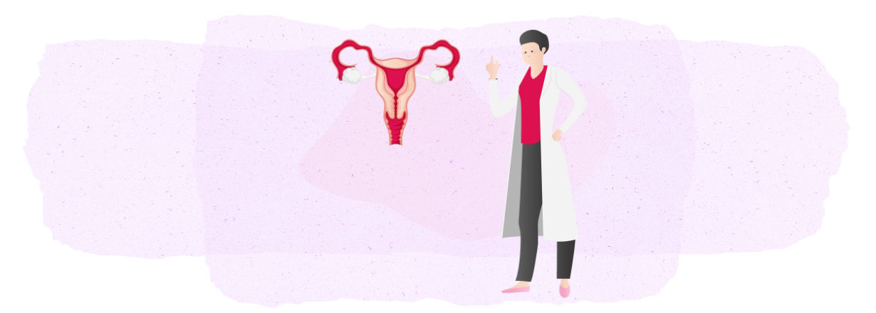  7 Answers To The Most Frequently Asked Questions About Ovulation