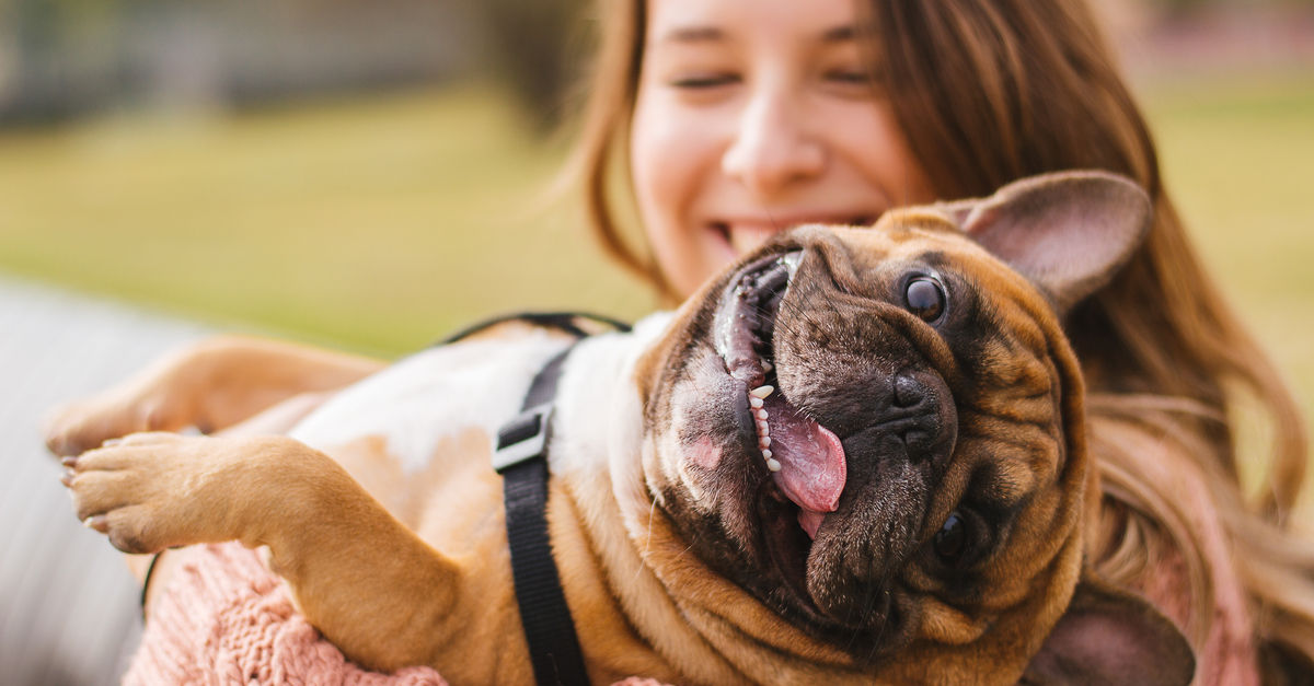 Animals are great at comforting us