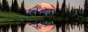 Mt. Rainier Washington